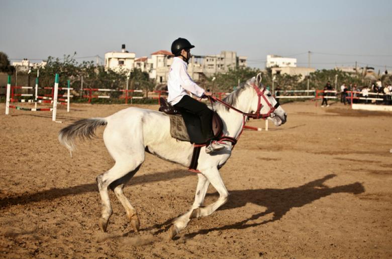 صور.. رياضة ركوب الخيل بغزة فلسطين الآن